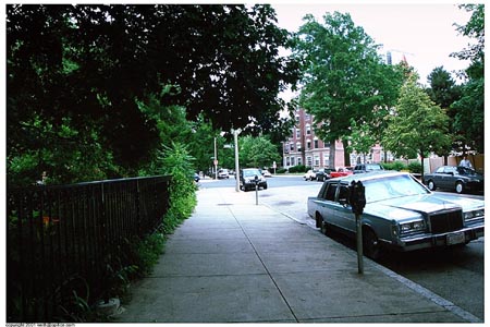 IMG0010